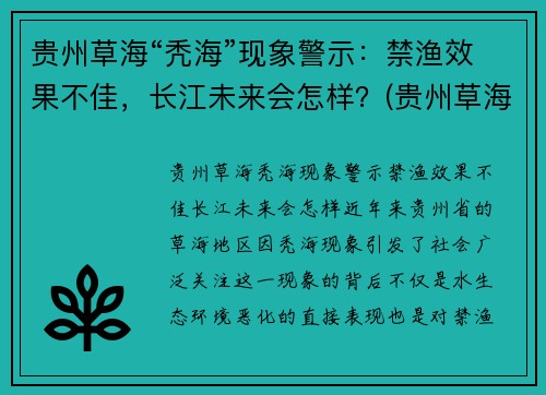 贵州草海“秃海”现象警示：禁渔效果不佳，长江未来会怎样？(贵州草海在哪)